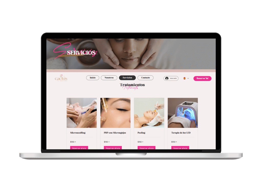 Home Laptop con muestra de un diseño web